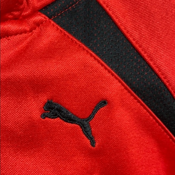 Nwt Puma Hoodie - Picture 4 of 12